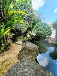 La Quinta Park (D19), Terrace #525450111